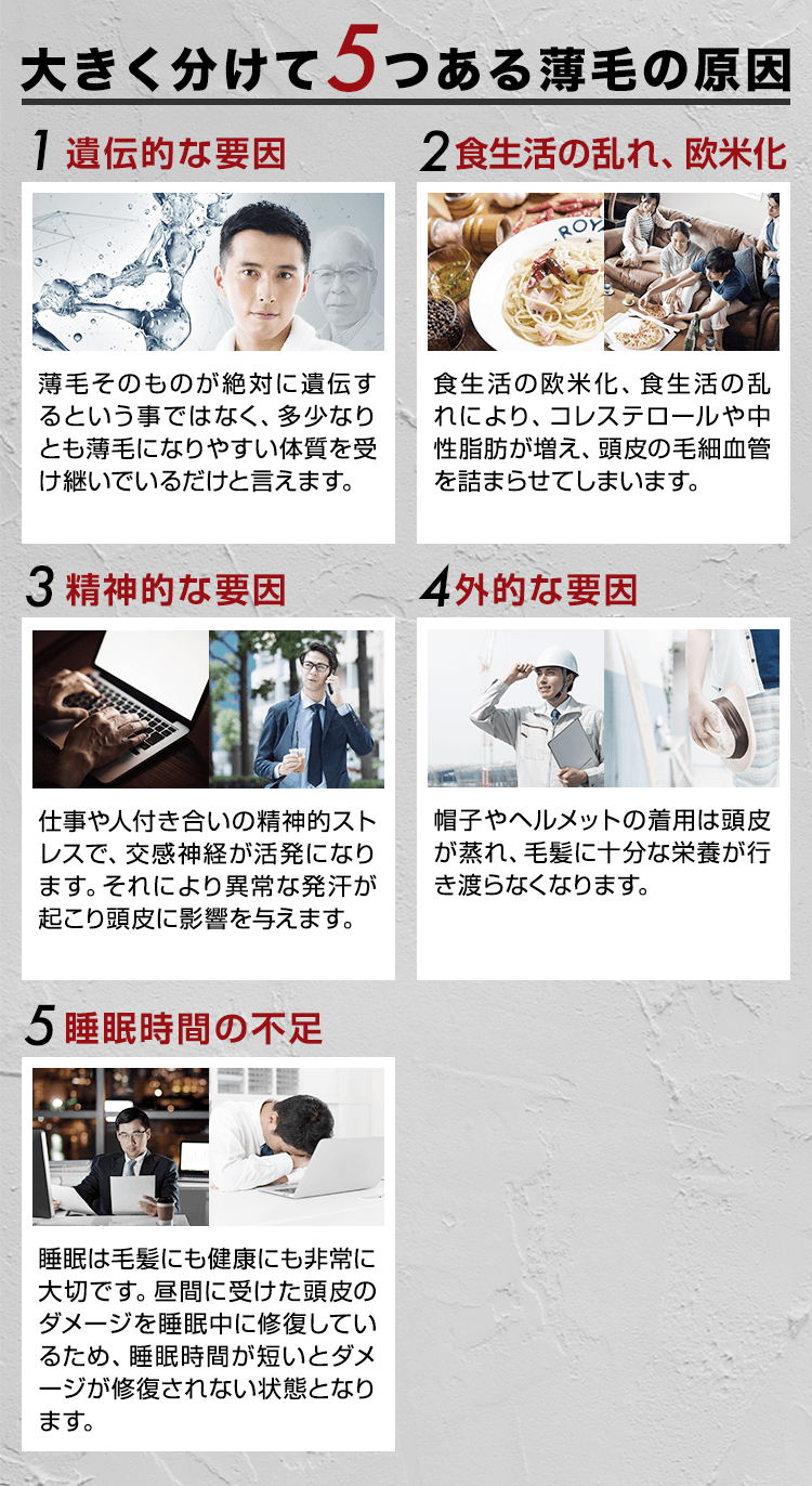 大きく分けて5つある薄毛の原因は遺伝的な要因・食生活の乱れ、欧米化・精神的な要因・外的な要因・睡眠時間の不足です。