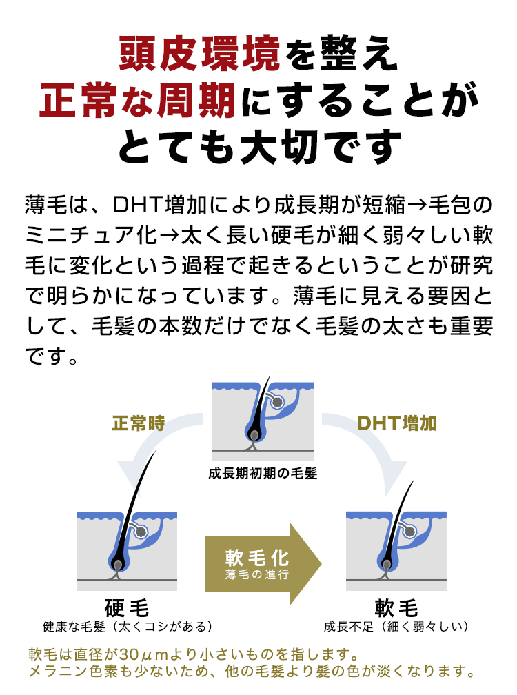 頭皮環境を整え正常な周期にすることがとても大切です