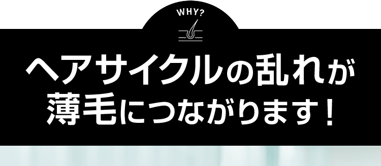 ヘアサイクルの乱れが薄毛につながります!