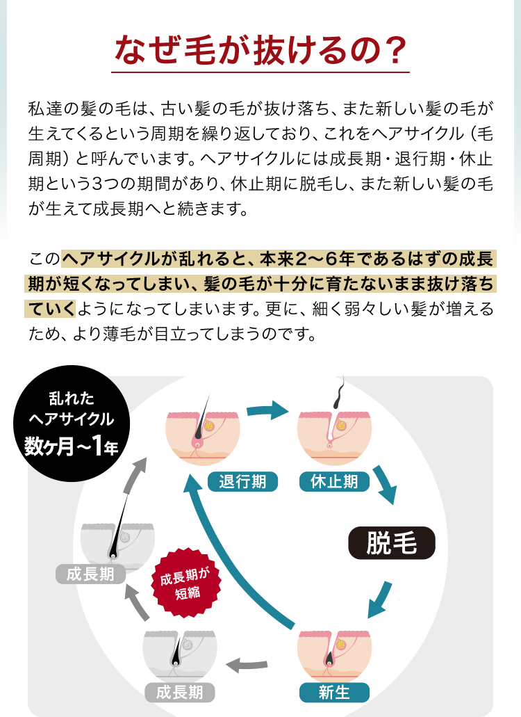 なぜ毛が抜けるの?