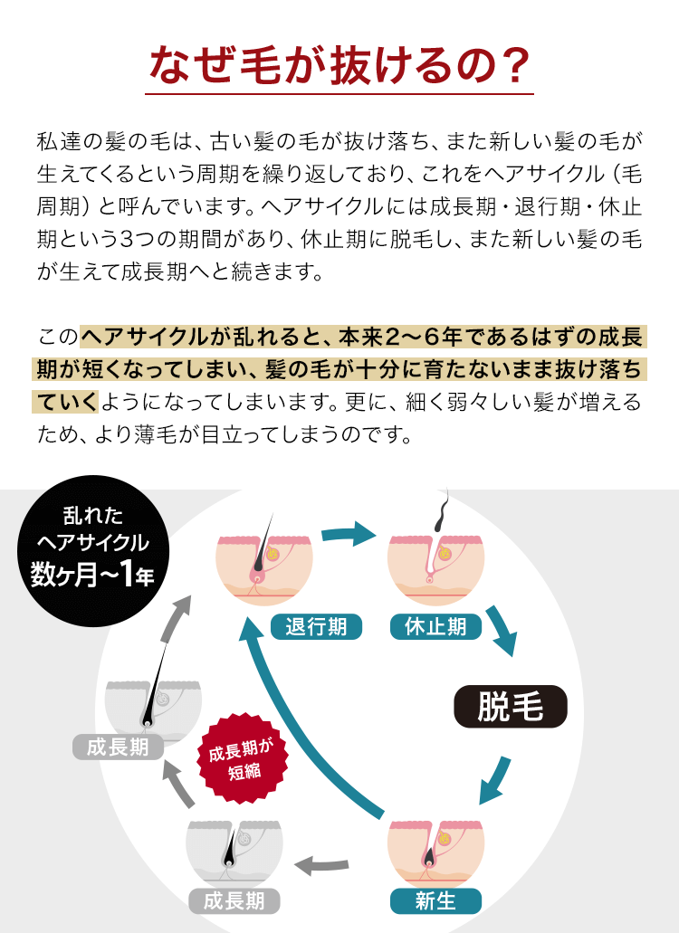 なぜ毛が抜けるの?